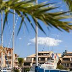 Pet-Friendly Holmes Beach Rentals Near the Shore