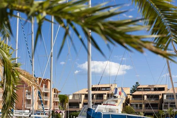Pet-Friendly Holmes Beach Rentals Near the Shore